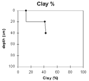 Graph: Clay% in Site NE41