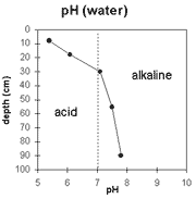 Graph: pH in Site NE41