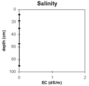 Graph: Salinity in Site Ne41