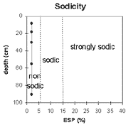 Graph: Sodicity in Site NE41