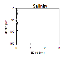 Graph: Salinity levels in Site NE42