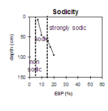 Graph: Sodicity levels in Site NE42