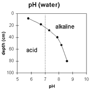 Graph: pH levels in Site NE43