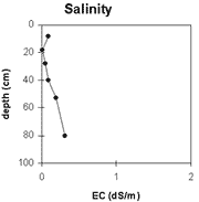 Graph: Salinity levels in Site NE43