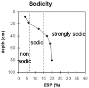 Graph: Sodicity levels in Site NE43