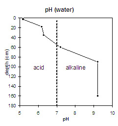 Graph:Soil Site NE4 pH