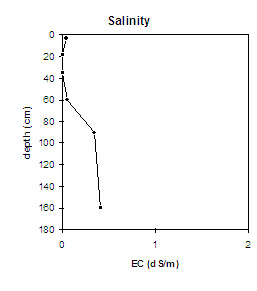 Graph: Soil Site NE4 Salinity
