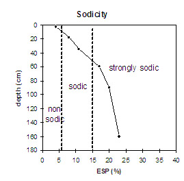 Graph: Soil Site NE4 Sodicity