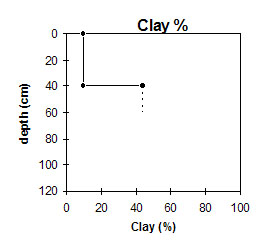 NE8 clay graph