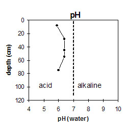 NE8 pH graph