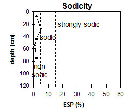 NE8 sodicity graph