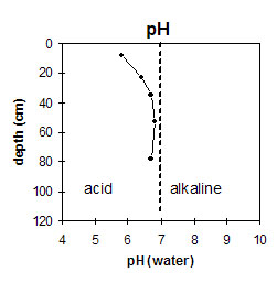 NE9 pH graph