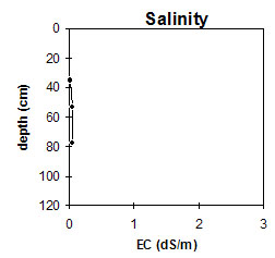 NE9 salinity graph