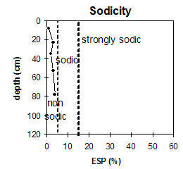 NE9 sodicity graph