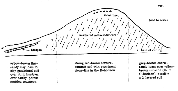 Diagram: Packer's Railway Cutting Stratigraphy