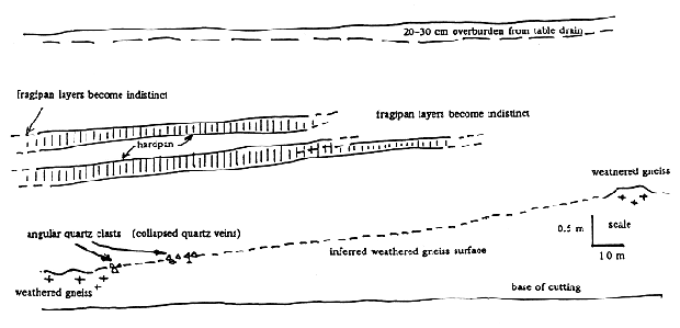 Diagram: Riversdale East railway cutting stratigraphy