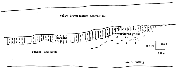Diagram: Stratigraphy of the southern side of the Riversdale West cutting.