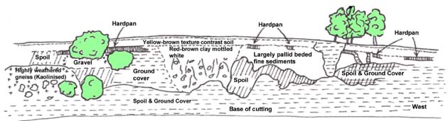 Diagram: Southern side Tallangatta fan railway cutting Stratigraphy