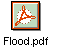 Flood.pdf