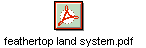 feathertop land system.pdf