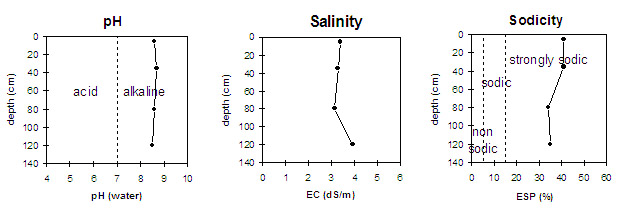 Graph: Sodicity levels in Site LP1