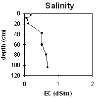 Graph: Soil Site lp108 Salinity levels