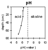 Graph: Soil Site LP111 pH levels