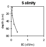 Graph: Soil Site LP111 Salinity levels