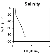 Graph: Soil Site LP114a Salinity levels