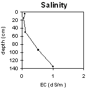 Graph: Soil Site LP115 Salinity levels