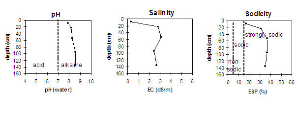 Graph: Sodicity levels in Site LP15
