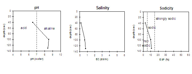 Graph: Sodicity levels in Site LP17