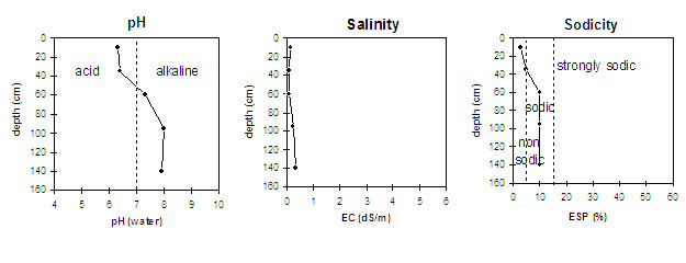 Graph: Sodicity levels in Site LP2