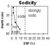 Graph: Sodicity levels in Soil Pit Site LP38
