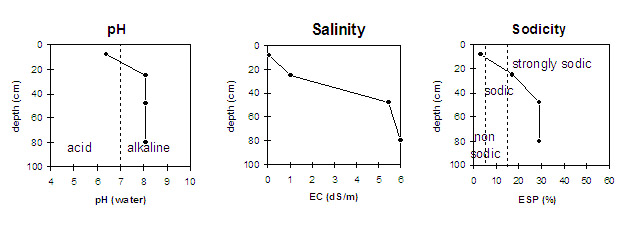 Graph: Sodicity levels in Site LP4