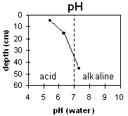 Graph: pH levels in Soil Pit LP41