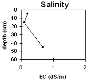 Graph: Salinity levels in Soil Pit LP41