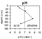 Graph: pH levels in Soil Pit Site LP42