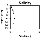 Graph: Salinity levels in Soil Pit Site LP42