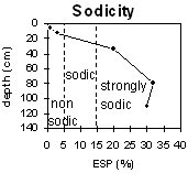 Graph: Sodicity levels in Soil Pit LP 42