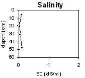 Graph: Salinity levels in Site LP43
