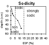 Graph: Sodicity levels in Site LP43