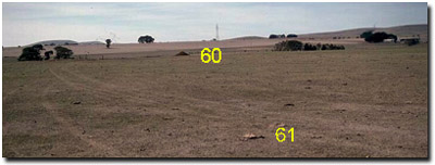 Photo: Soil Site LP60&61 Landscape