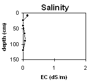 Photo: Soil Site LP60 Salinity levels