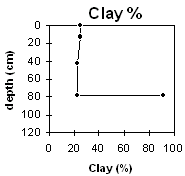 Graph: Site LP61a Clay%