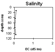 Graph: Soil Site LP61a Salinity levels