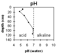 Graph: Soil Pit Site LP63 pH levels