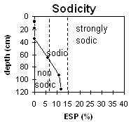 Graph: Soil Pit Site LP63 Sodicity levels