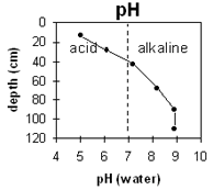 Graph: Soil Site LP65 pH levels