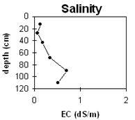 Graph: Soil Site LP65 Salinity levels